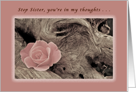 Step Sister, You’re in My Thoughts, Pink Rose and Driftwood card