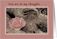You’re in My Thoughts and Prayers as You Battle Cancer, Pink Rose card