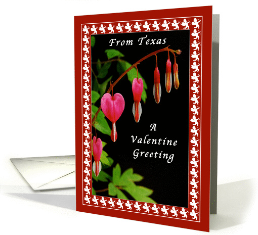 Happy Valentine Day From Texas, Cupids & Bleeding Hearts card
