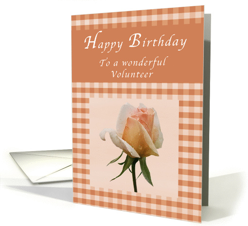 Happy Birthday to a Wonderful Volunteer, Peach rose Gingham card