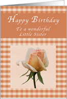 Happy Birthday to a Wonderful Little Sister, Peach rose Gingham card