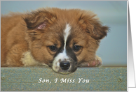 I Miss My Son, cute Puppy with Lonely looking eyes card