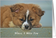 I Miss My Niece, cute Puppy with Lonely looking eyes card