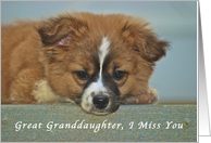 I Miss My Great Granddaughter, cute Puppy with Lonely looking eyes card