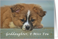 I Miss My Goddaughter, cute Puppy with Lonely looking eyes card