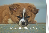 We Miss You Mom, Cute Puppy with Lonely Looking Eyes card