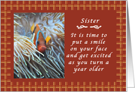 Happy Birthday to a Sister, Clown Fish with Gingham backdrop card