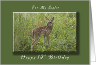 Happy 13th Birthday for my Sister, A Young Fawn in the Spring card