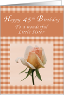 Happy 45th Birthday to a Wonderful Little Sister, Peach rose Gingham card