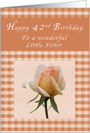 Happy 42nd Birthday to a Wonderful Little Sister, Peach rose Gingham card