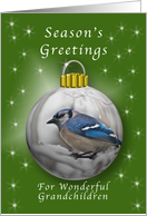 Season’s Greetings for Grandchildren, Bluejay Ornament card