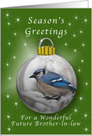 Season’s Greetings for a Future Brother-in-Law, Bluejay Ornament card