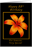 88th Birthday for Someone Special, Orange lily card