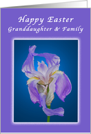 Happy Easter for a Granddaughter and Family, Purple Iris card