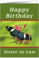 Happy Birthday Sister-in-Law, Butterfly card