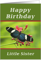 Happy Birthday Little Sister, Butterfly card