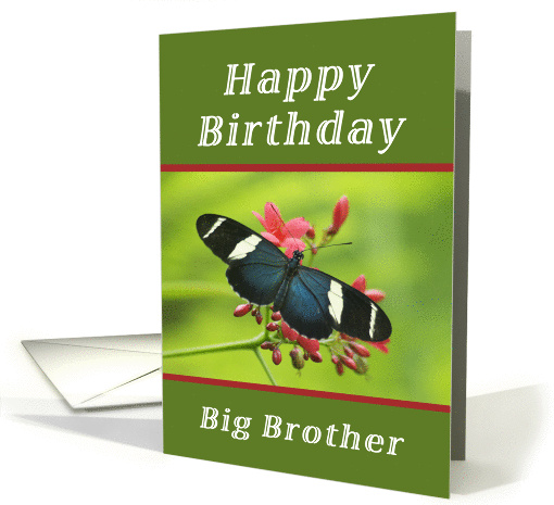 Happy Birthday Big Brother, Butterfly card (1238322)
