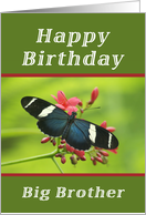 Happy Birthday Big Brother, Butterfly card