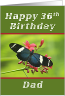 Happy 36th Birthday Dad, Butterfly card