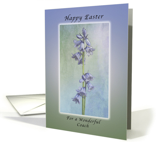Happy Easter for a Wonderful Coach, Purple Hyacinth Flowers card