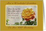 100th Birthday For a Grandma Who Gives The Best in Life card