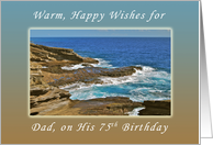 Happy 75th Birthday, Wishes for Father / Dad, Hanauma Bay, Hawaii card