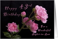 Happy 43rd Birthday for a Sister-in-Law, Pink roses card