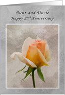 Aunt & Uncle, Happy 25th Anniversary, Rose Textured Background card