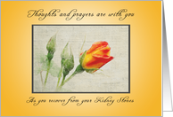 Recover quickly from Your Kidney Stones, Orange Roses card