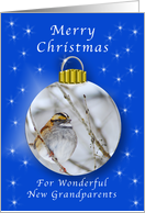 Season’s Greetings for a New Grandparents, Sparrow Ornament card