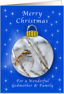 Season’s Greetings for Godmother and Family, Sparrow Ornament card