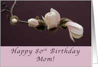 80th Birthday Mom, Magnolia Blossom card