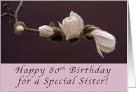 80th Happy Birthday Sister, Magnolia Blossom card
