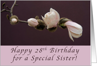 28th Birthday for a Special Sister, Magnolia Blossom card