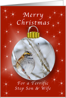 Merry Christmas for a Step Son and Wife, Sparrow Ornament card