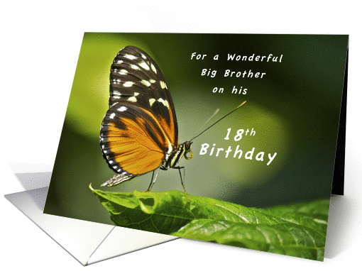 Happy 18th Birthday Big Brother, Butterfly Profile card (1293116)