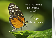 Happy 18th Birthday Big Brother, Butterfly Profile card