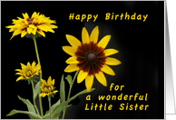 Happy Birthday Little Sister, Rudbeckia flowers card