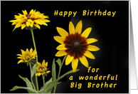 Happy Birthday Big Brother, Rudbeckia flowers card