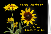 Happy Birthday Future Daughter-in-law, Rudbeckia flowers card