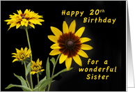 Happy 20th Birthday for a Sister, Rudbeckia flowers card