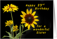 Happy 23rd Birthday for a Sister, Rudbeckia flowers card