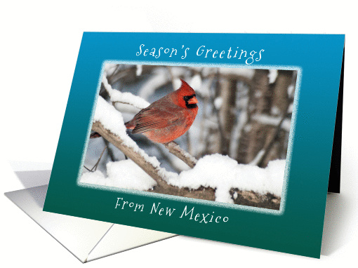 Season's Greetings from New Mexico, Cardinal in the Snow. card