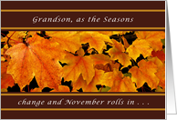 Grandson, November Birthday, Maple Leaves card