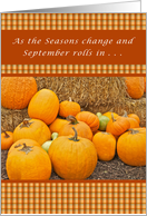 September Birthday, Pumpkins and Gourds on Straw Bales card