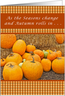 October, Birthday Card, Pumpkins and Gourds on Straw Bales card