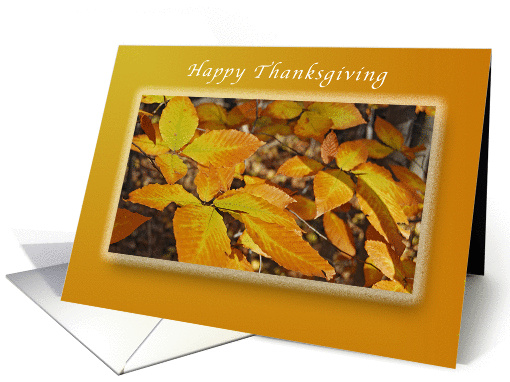 Happy Thanksgiving, Autumn Beech Leaves card (1319532)