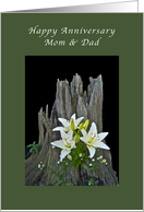 Happy Anniversary, Rough Weathered Stump with Delicate Lilies card