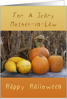 Happy Halloween, For a Scary Mother-in-Law, Pumpkins & Squash card
