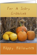 Happy Halloween, For A Scary Grandson, Pumpkins & Squash card